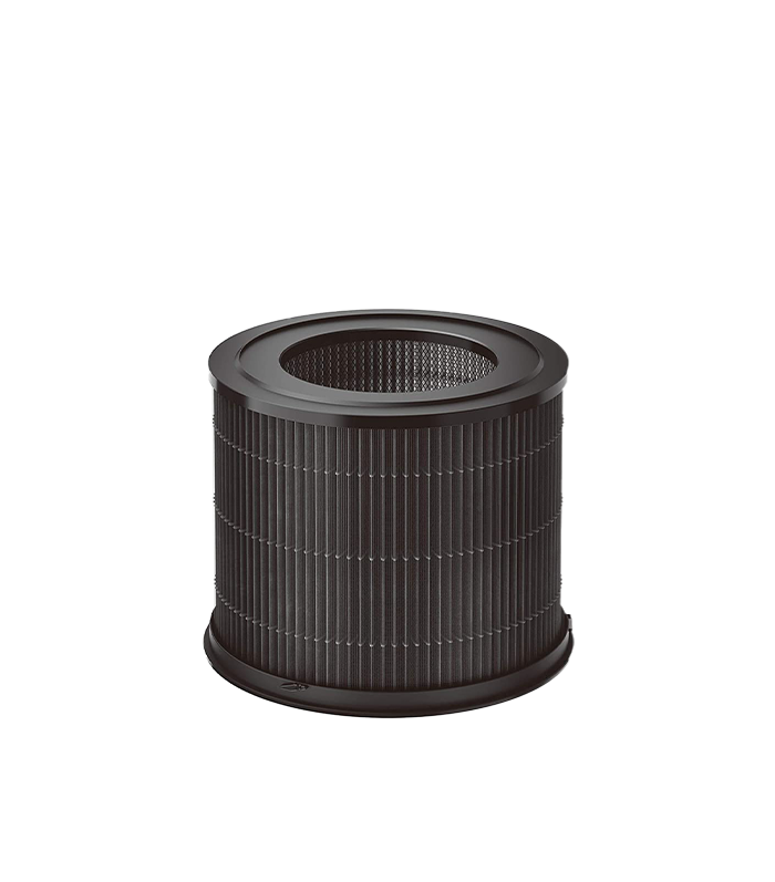 Air store filter pollen