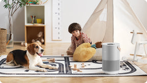 Portable Air Purifier For Home & Office